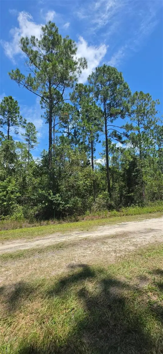 4220 Isaac Street, Hastings, FL 32145 - #2