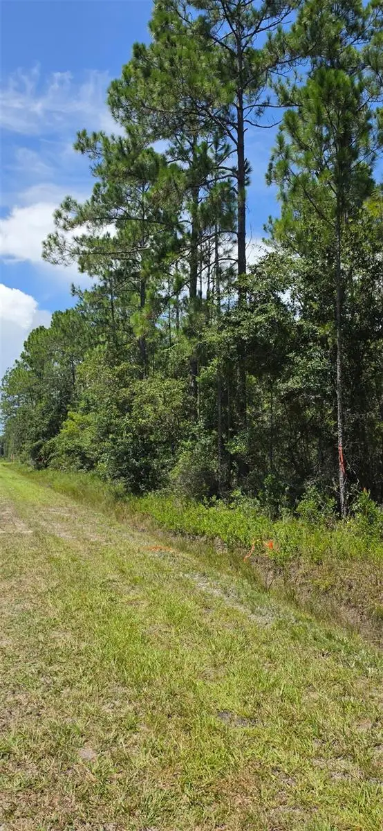 4220 Isaac Street, Hastings, FL 32145 - #3