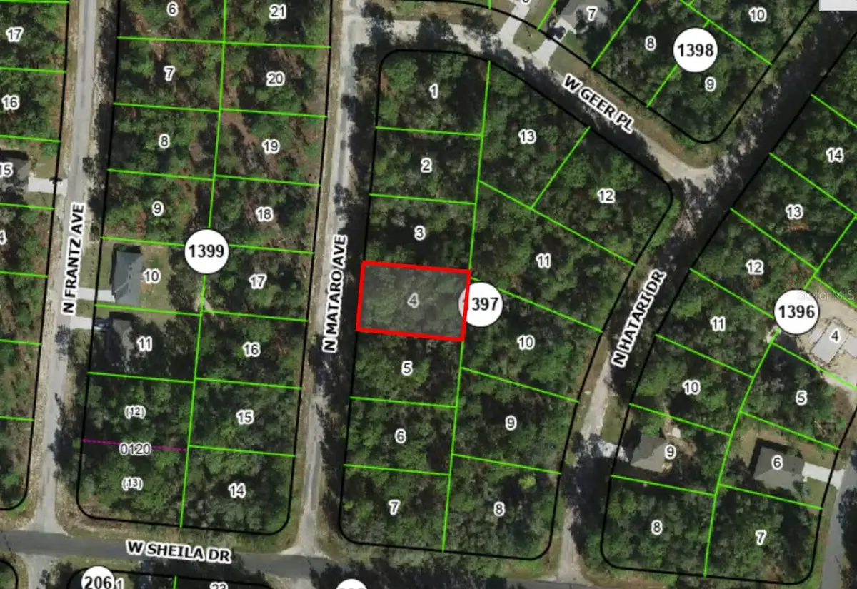 10845 N Mataro Avenue, Citrus Springs, FL 34434 - #1
