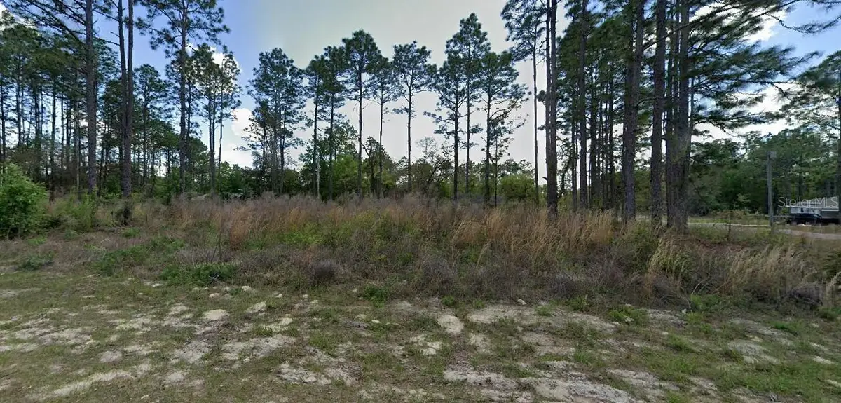 1562 W Acadian Place, Citrus Springs, FL 34434 - #1