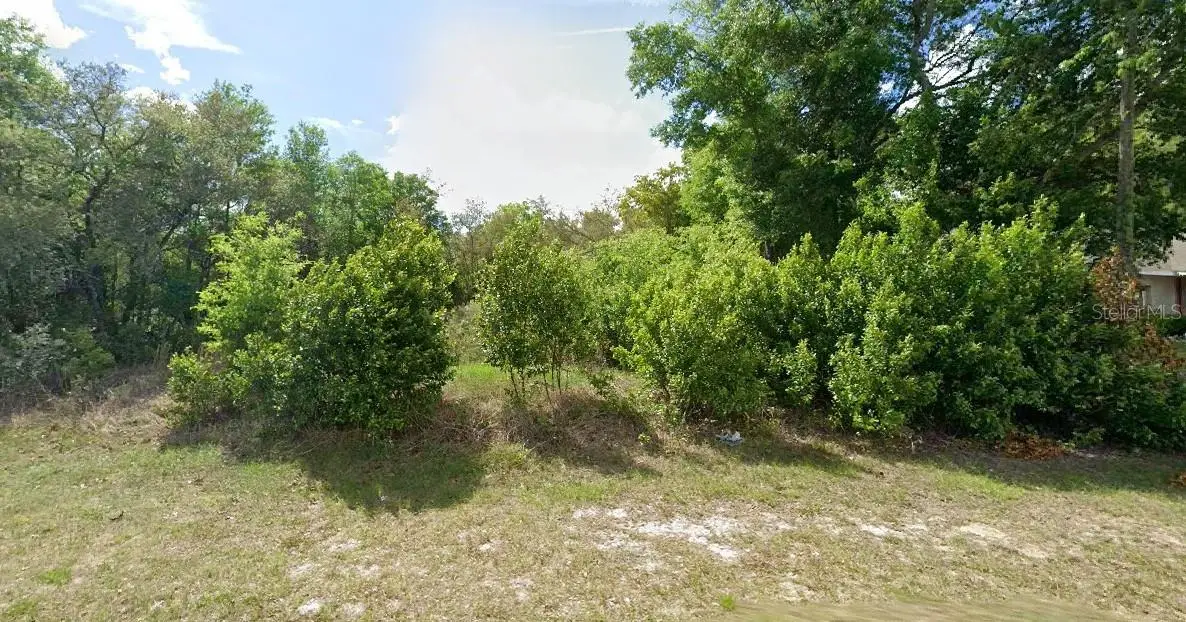 8278 N Triana Drive, Citrus Springs, FL 34434 - #1