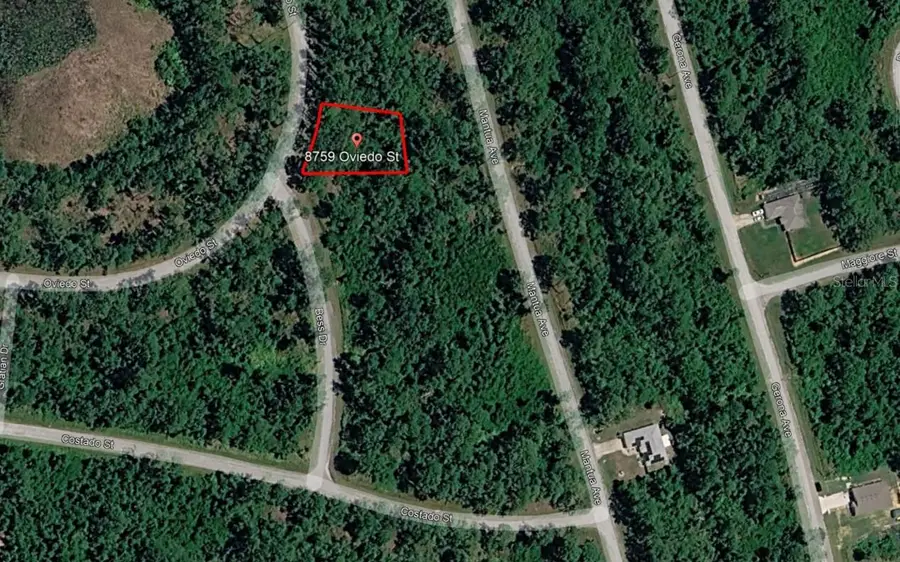 8759 Oviedo Street, Sebring, FL 33872 - #3