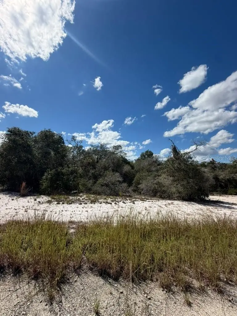 244 Dargen Drive, Lake Placid, FL 33852 - #1