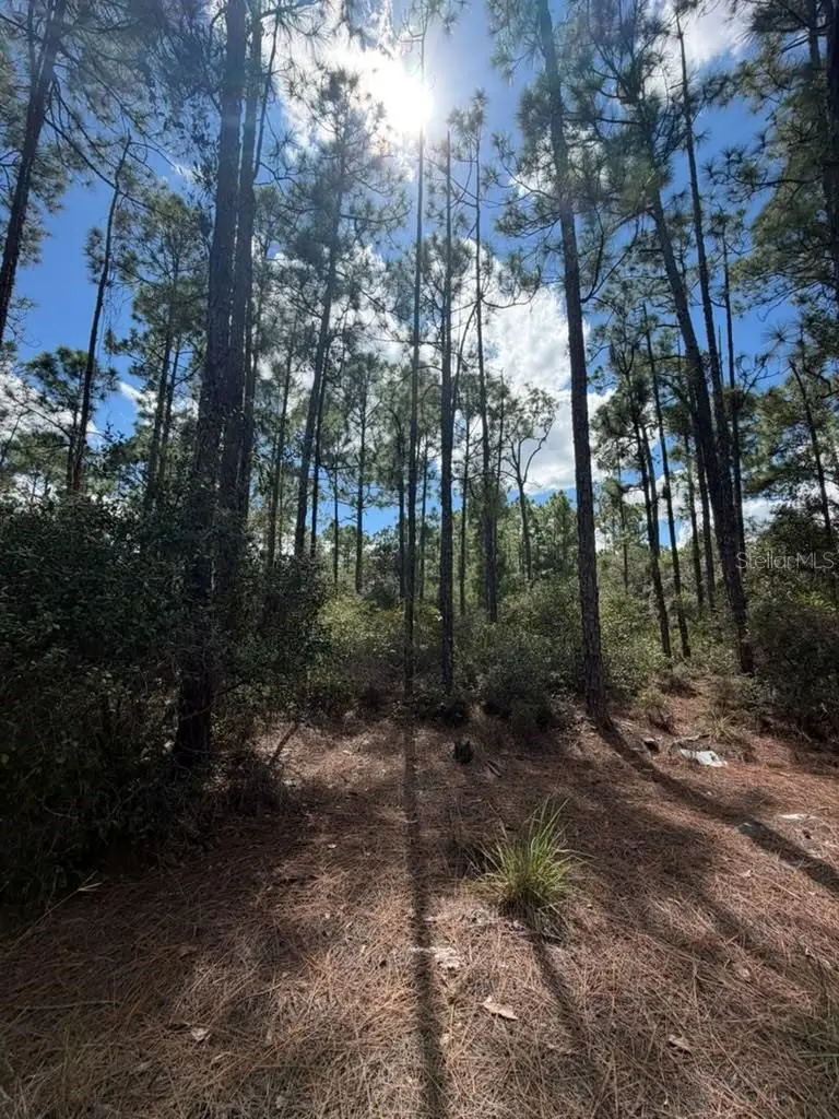 421 Amorous Avenue, Lake Placid, FL 33852 - #1