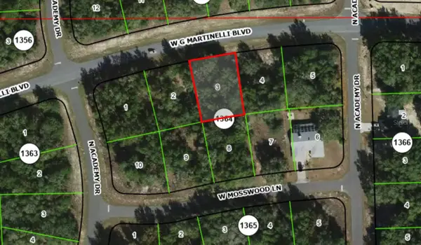 1402 W G Martinelli Boulevard, CITRUS SPRINGS, FL 34434