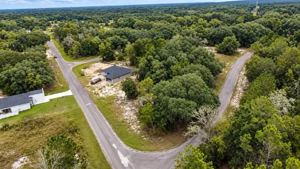 0 Guava Lane, OCKLAWAHA, FL 32179