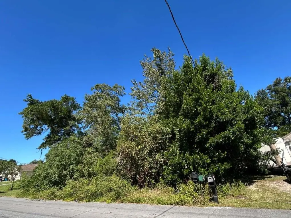 12299 Ronald Street, Spring Hill, FL 34609 - #1