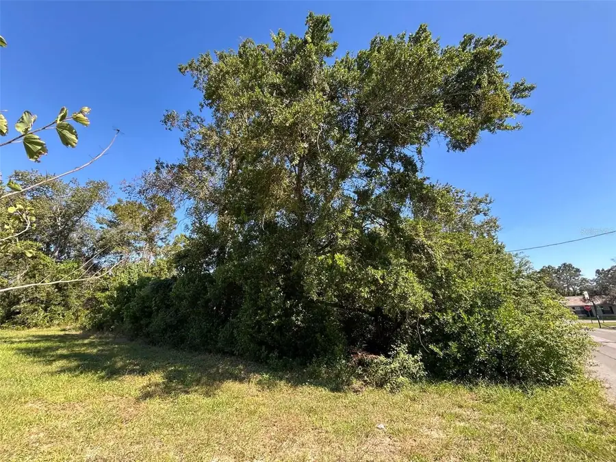 12299 Ronald Street, Spring Hill, FL 34609 - #2