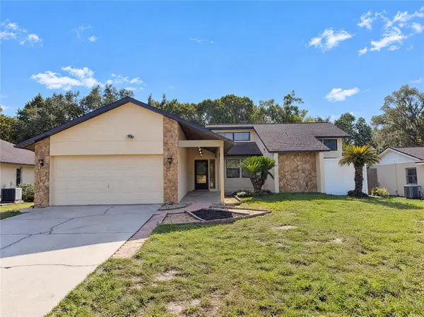 5201 Eagle Island Drive, LAND O LAKES, FL 34639