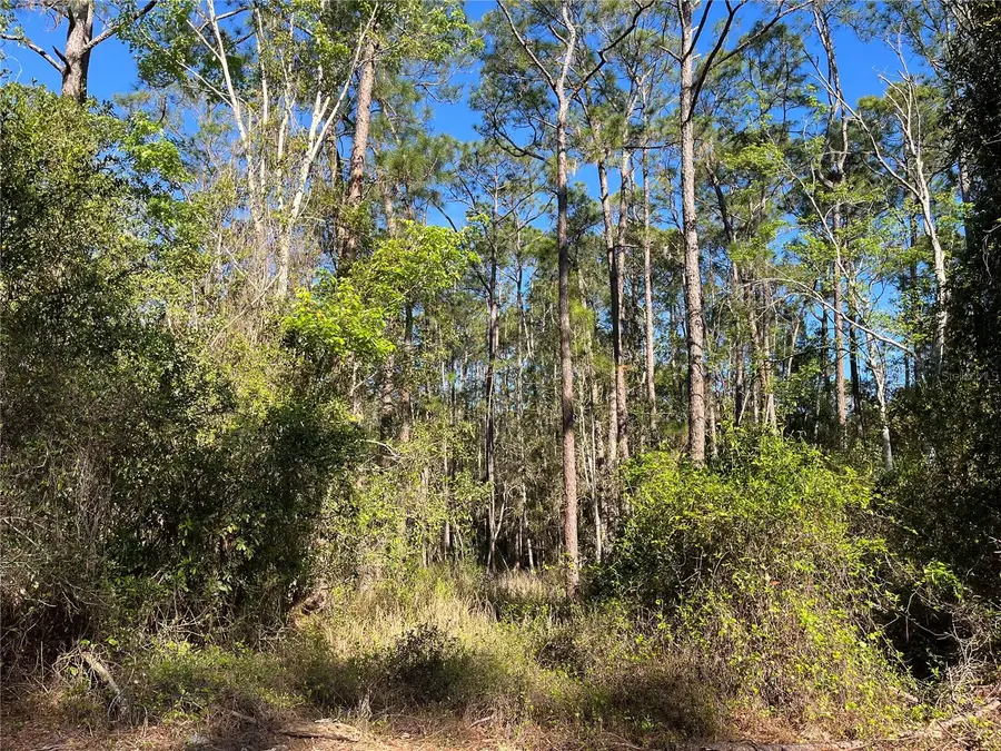 208 SE 3rd Street, Georgetown, FL 32139 - Image #2