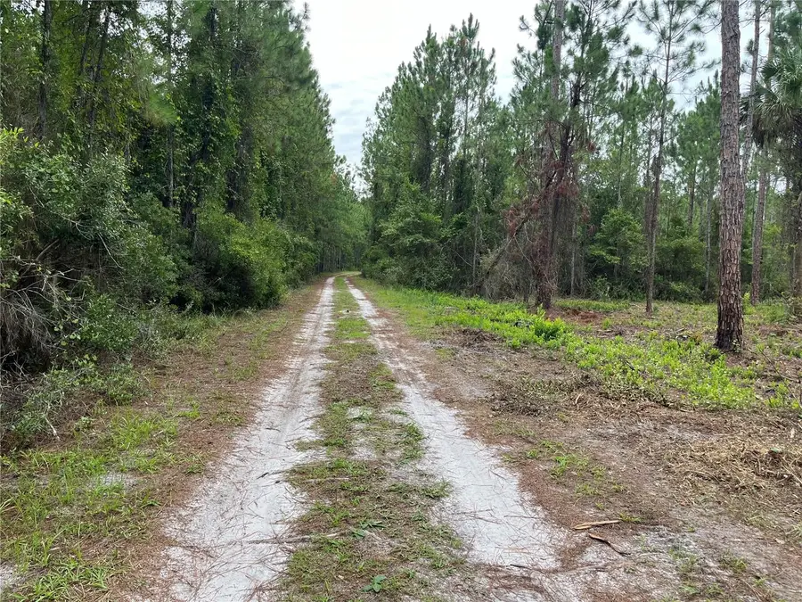 147 Roebuck Street, Georgetown, FL 32139 - Image #2