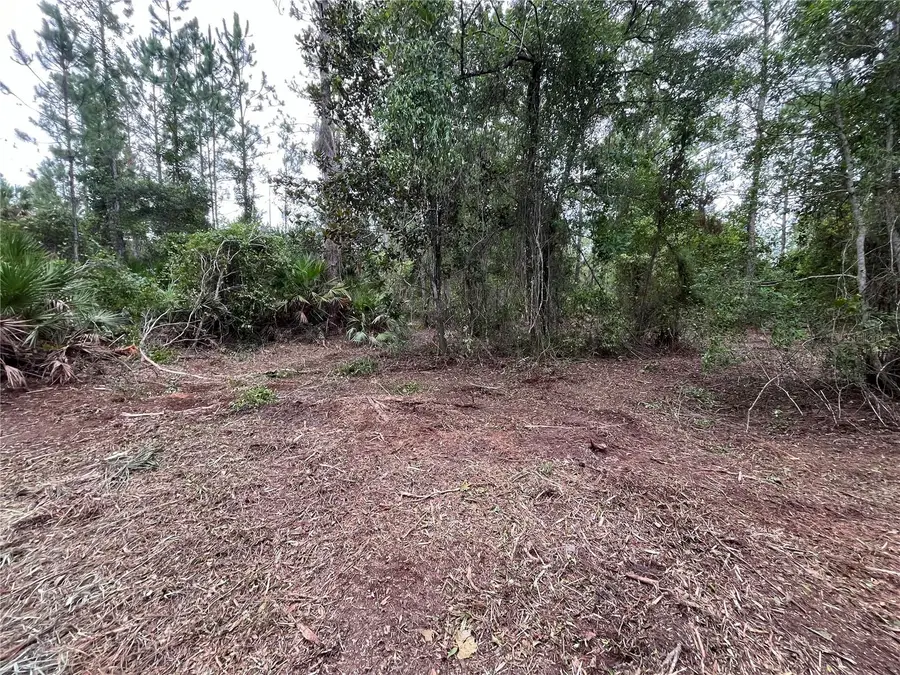 147 Roebuck Street, Georgetown, FL 32139 - Image #3