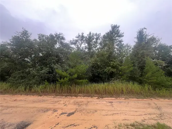 331 S Carolina Street, HAWTHORNE, FL 32640