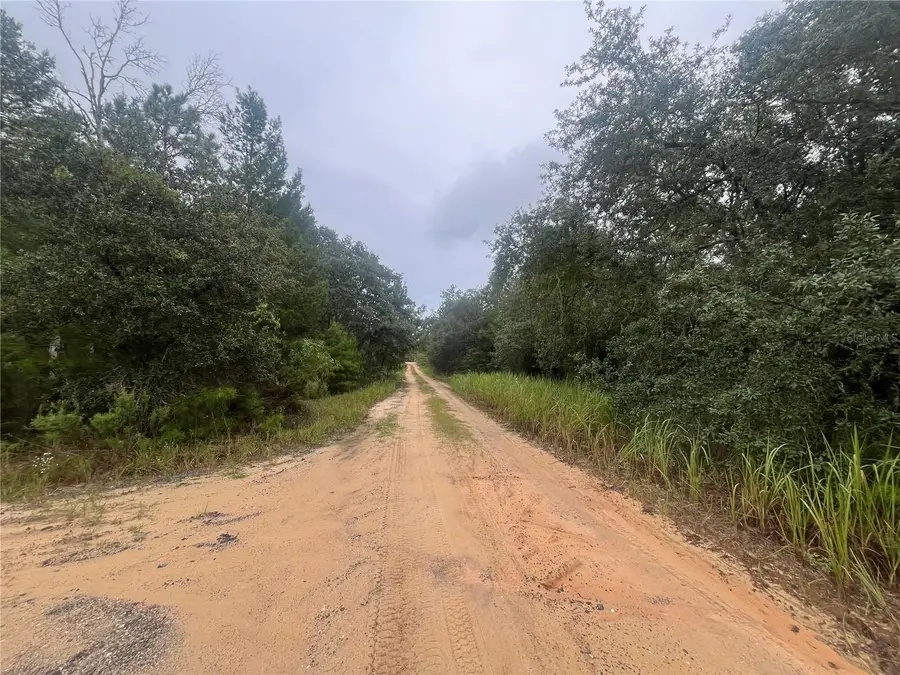 331 S Carolina Street, Hawthorne, FL 32640 - Image #2