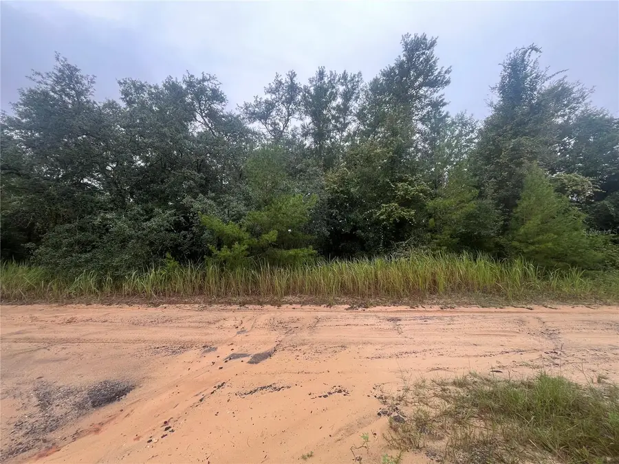 331 S Carolina Street, Hawthorne, FL 32640 - Image #3