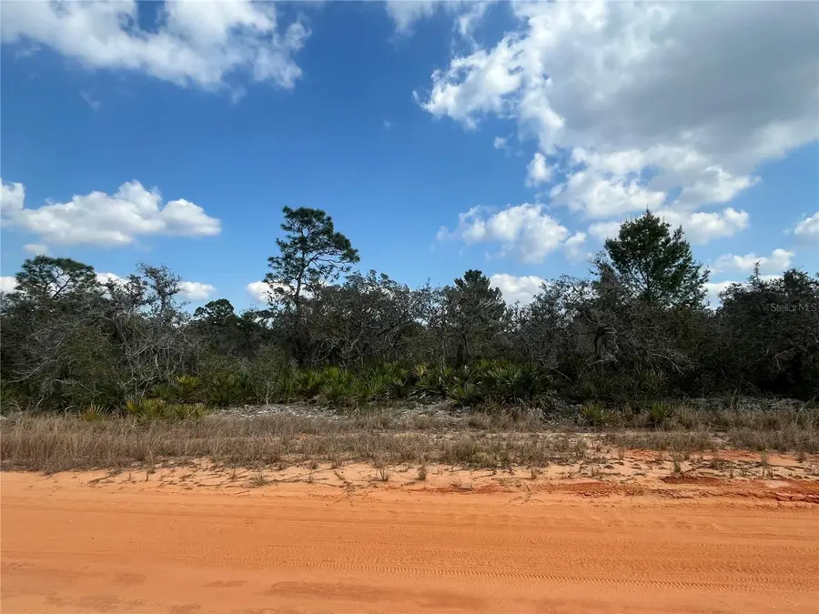 2400 Mink Road, Avon Park, FL 33825 - Image #3