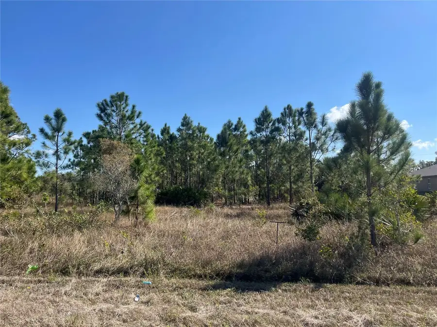 1247 Brunell Avenue, Fort Myers, FL 33913 - #2