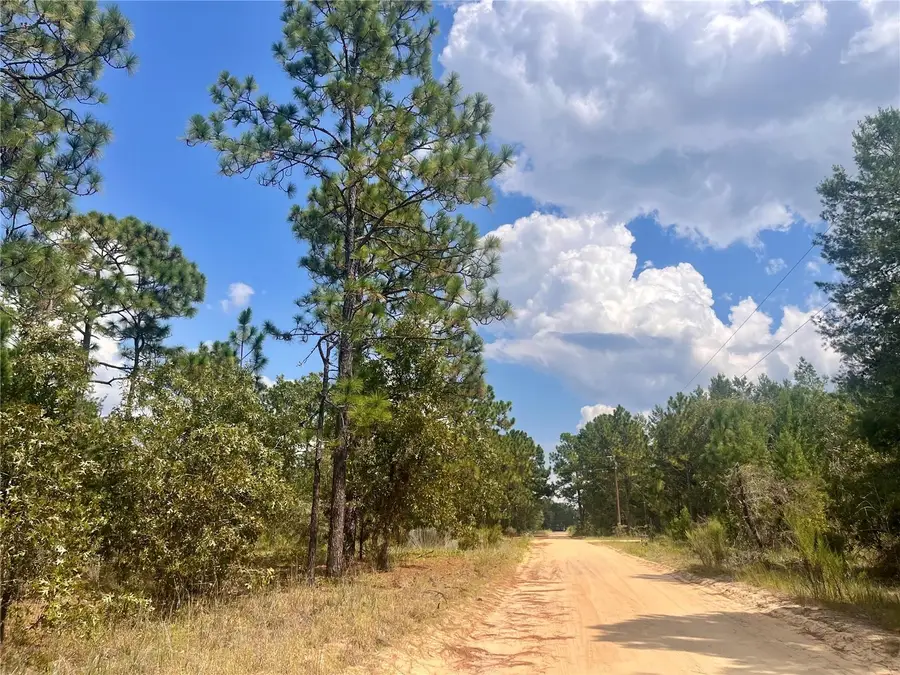 204 Glasgow Street, Interlachen, FL 32148 - #2