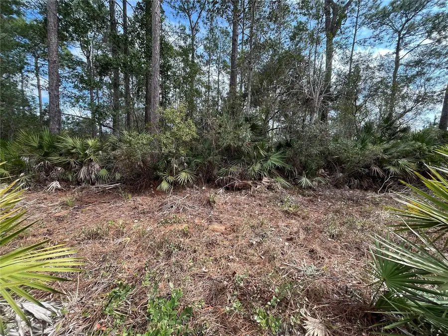 206 Royal Avenue, Interlachen, FL 32148 - #2