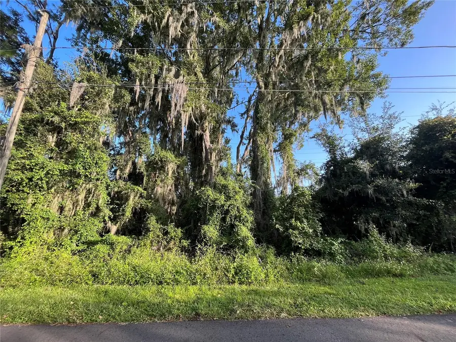 262 Toms Road, Debary, FL 32713 - Image #2