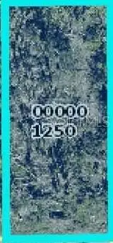 5556 Sandal Lane, Bokeelia, FL 33922 - Image #3