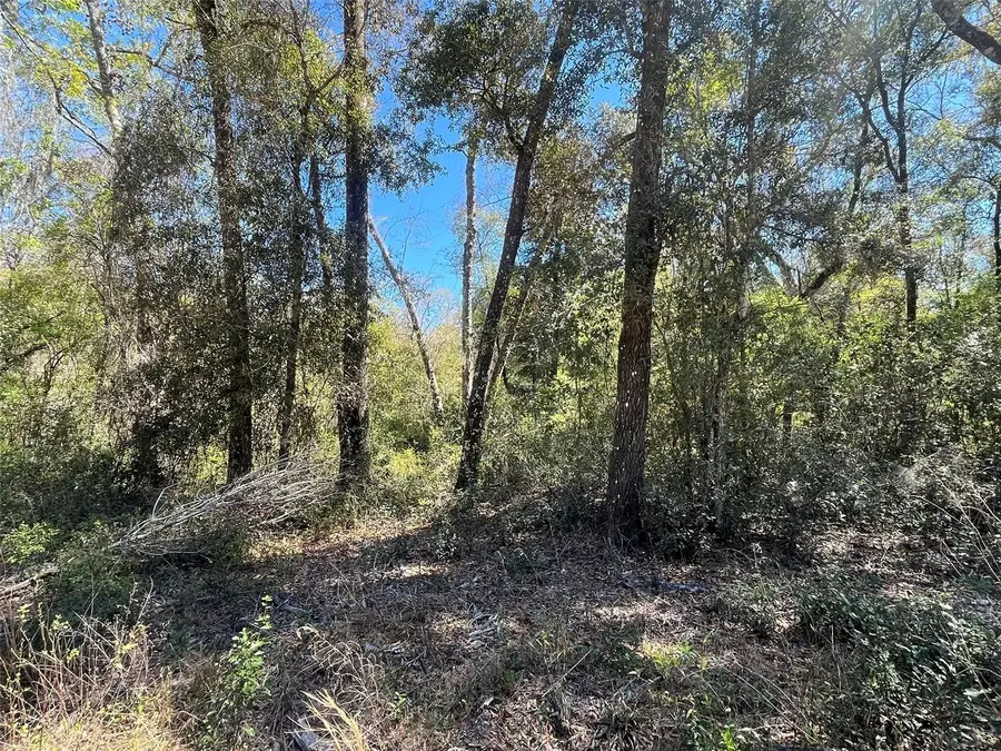 Walker, Interlachen, FL 32148 - #2