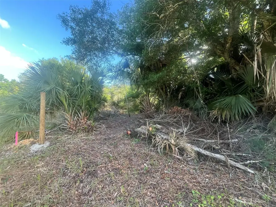 17774 NW 254th Street, Okeechobee, FL 34972 - #3