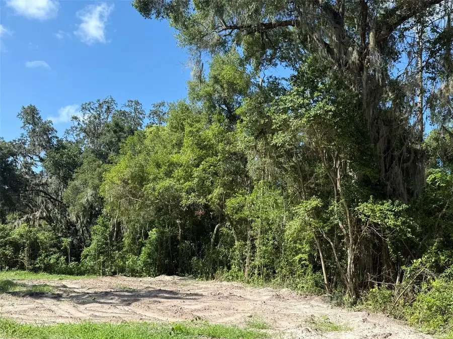 115 Roddy Lane, Palatka, FL 32177 - Image #2