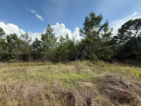 2921 W Seville Drive, AVON PARK, FL 33825