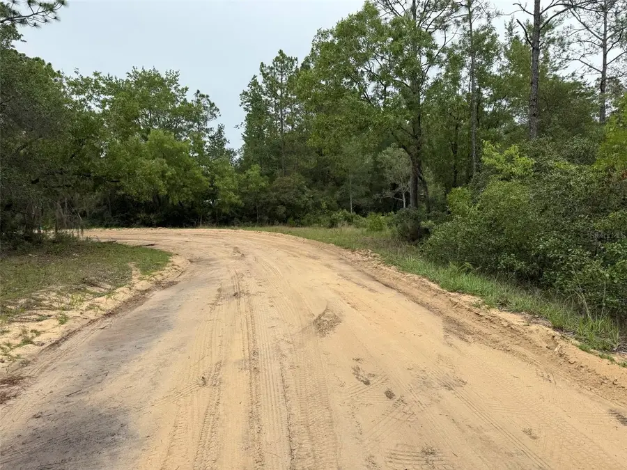 111 Brass Street, Interlachen, FL 32148 - Image #2