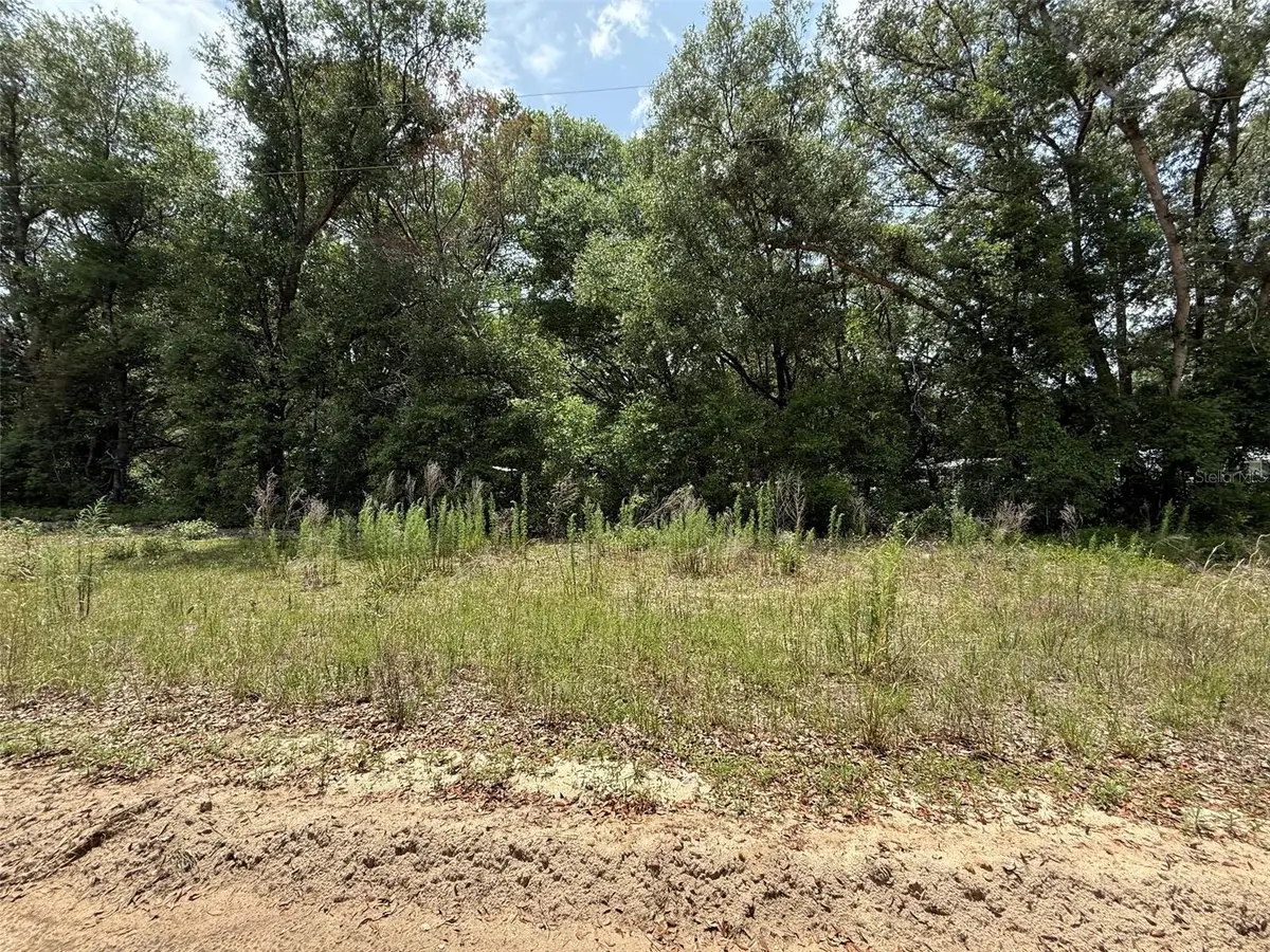 119 Smokey Avenue, Interlachen, FL 32148 - #1