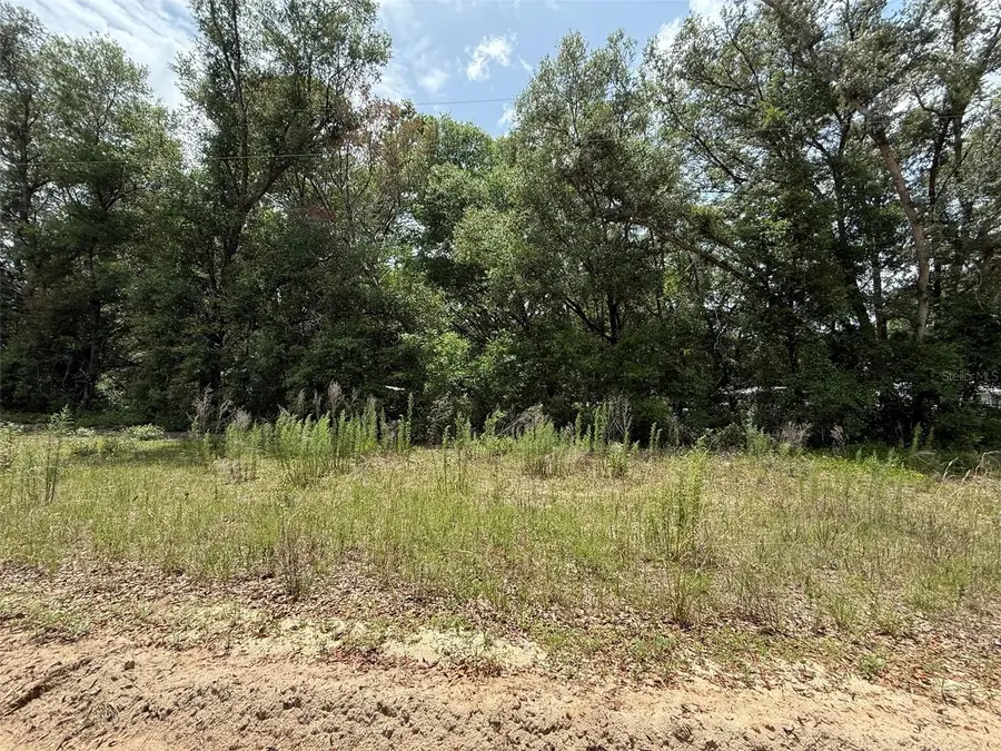 119 Smokey Avenue, Interlachen, FL 32148 - #2