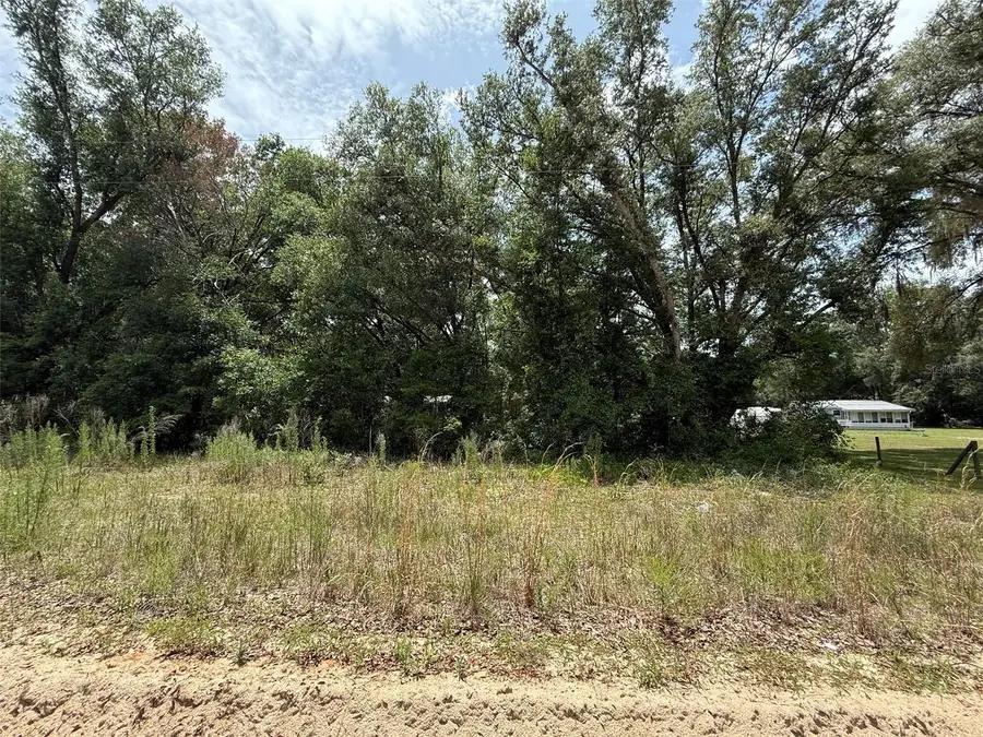 119 Smokey Avenue, Interlachen, FL 32148 - #3