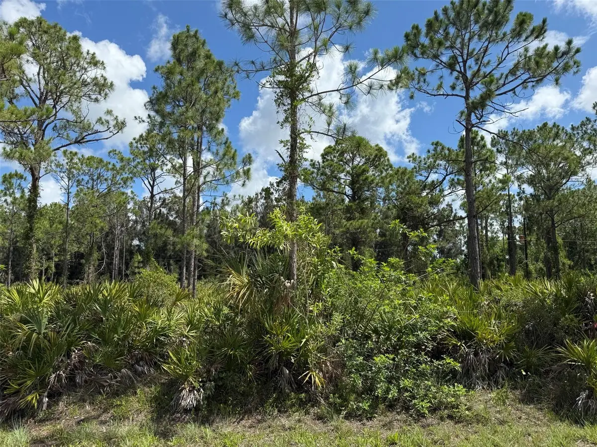 27342 Balboa Drive, Punta Gorda, FL 33955 - #1