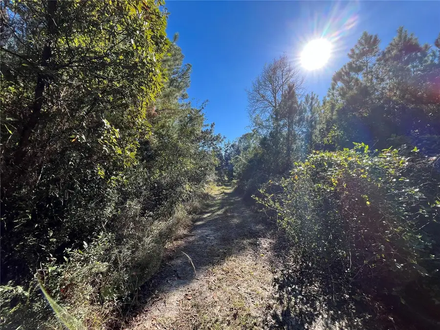 223 Mourning Dove Road, Satsuma, FL 32189 - #3