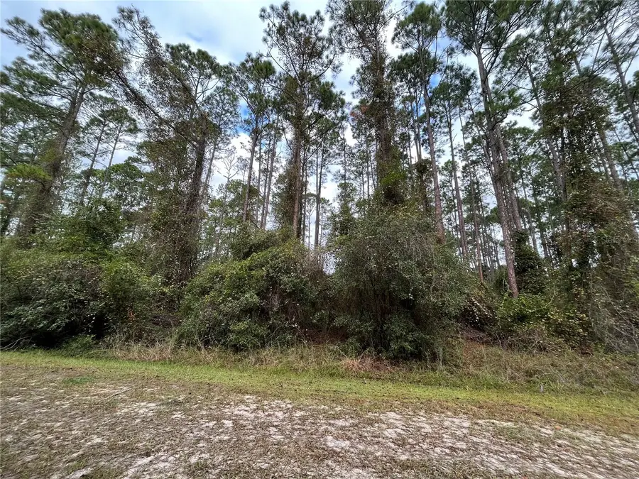 108 SE 5th Street, Georgetown, FL 32139 - Image #3