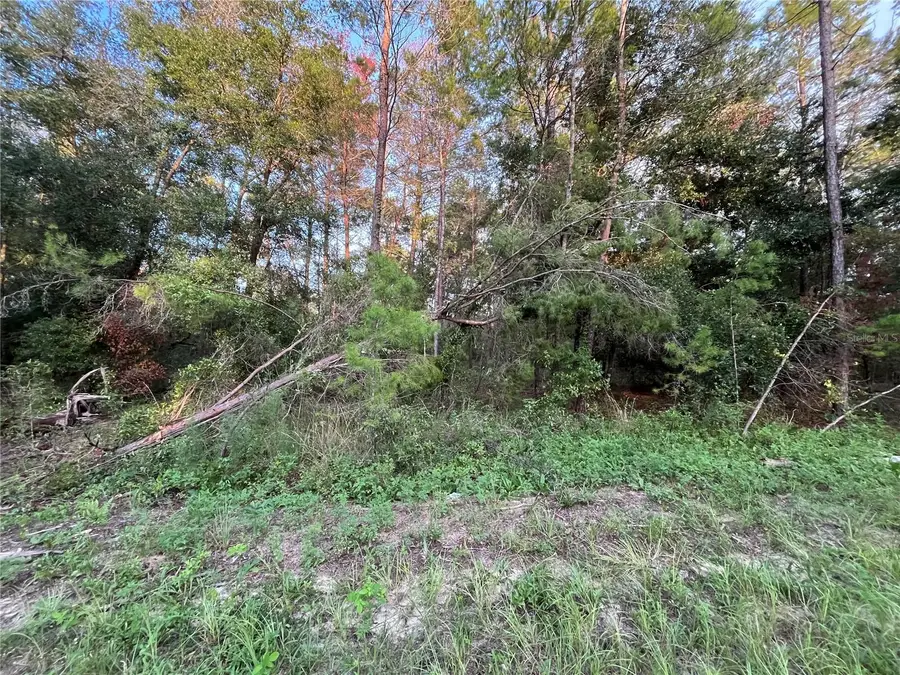 TBD Twin Lakes Road, Interlachen, FL 32148 - #2