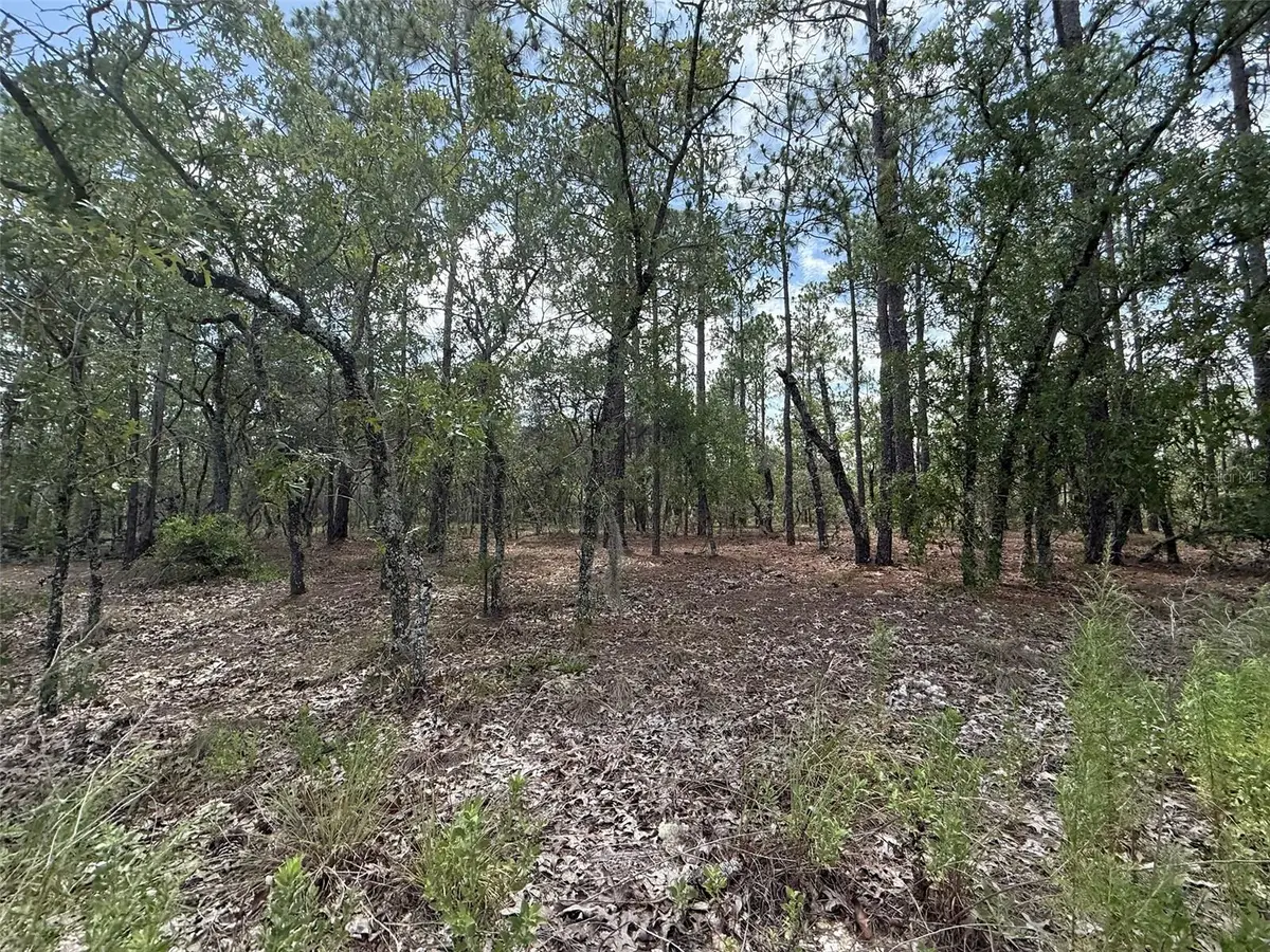 NW Tree Top Road, Dunnellon, FL 34431 - Image #1