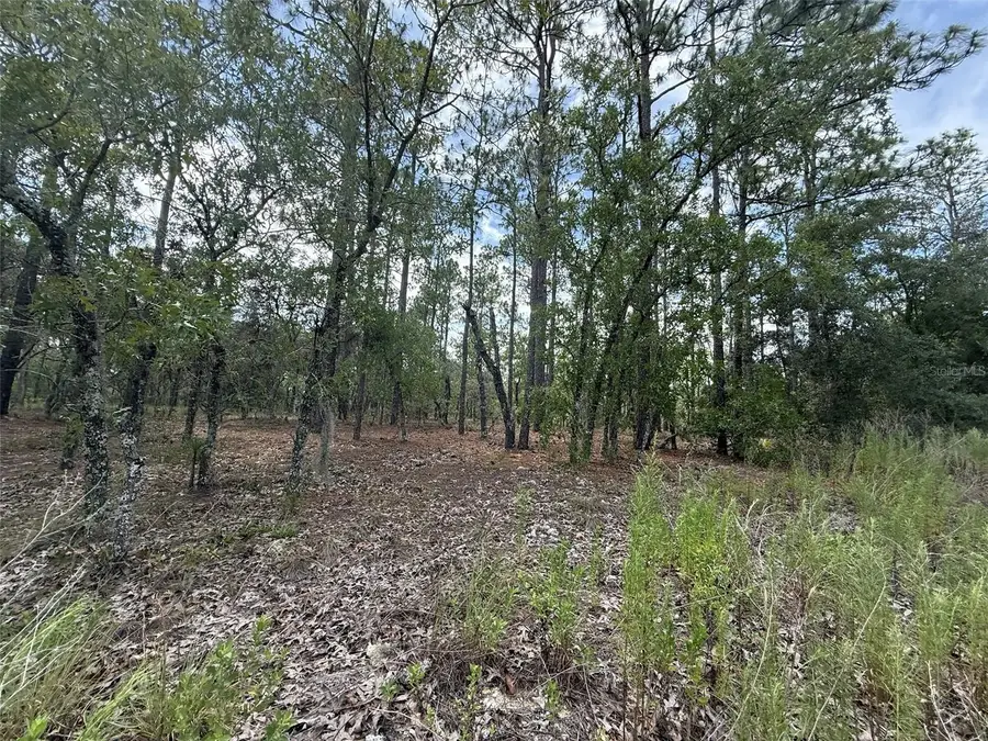 NW Tree Top Road, Dunnellon, FL 34431 - Image #2