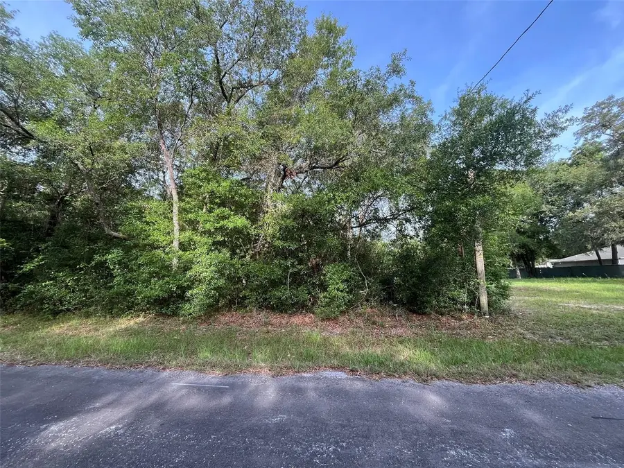 6634 N Pagoda Tree Terrace, Hernando, FL 34442 - Image #2