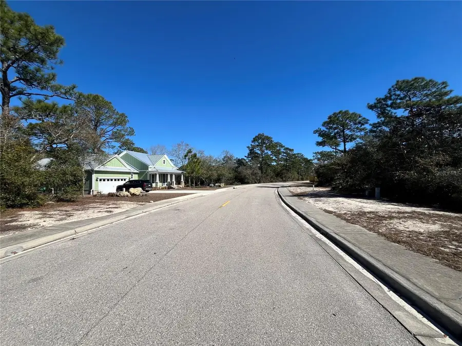394 Royal Tern Way, Carrabelle, FL 32322 - Image #3