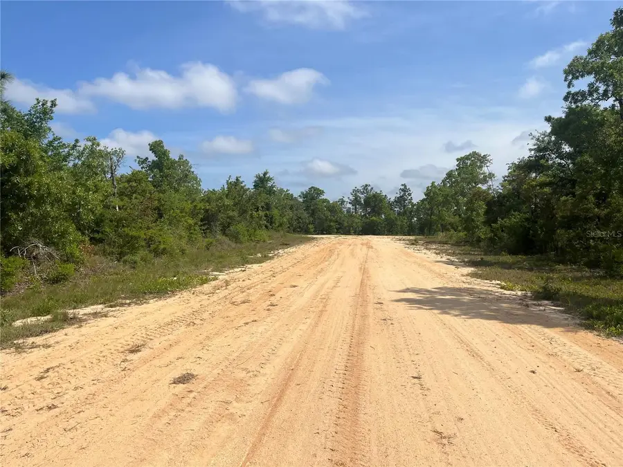 Rome Avenue, Alford, FL 32420 - Image #2