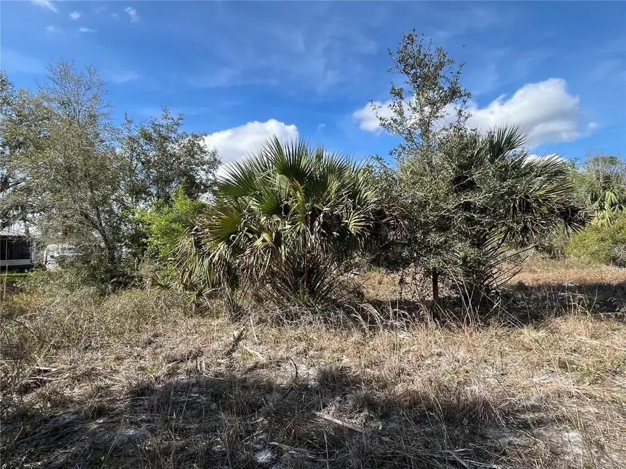 14667 NW 294th Street, Okeechobee, FL 34972 - #3