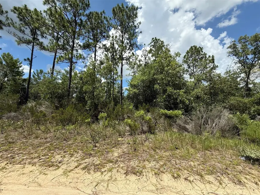 187 Paris Street, Interlachen, FL 32148 - Image #2