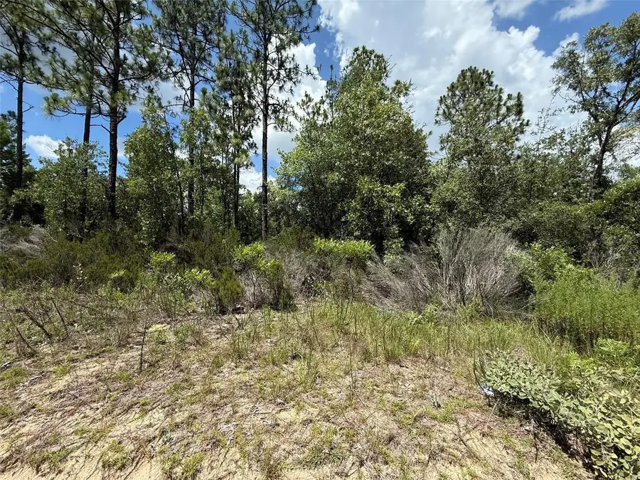 187 Paris Street, Interlachen, FL 32148 - Image #3