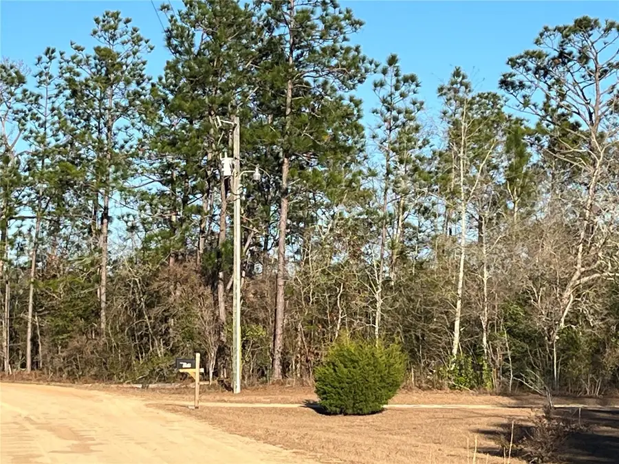 Goreville Avenue, Alford, FL 32420 - Image #2