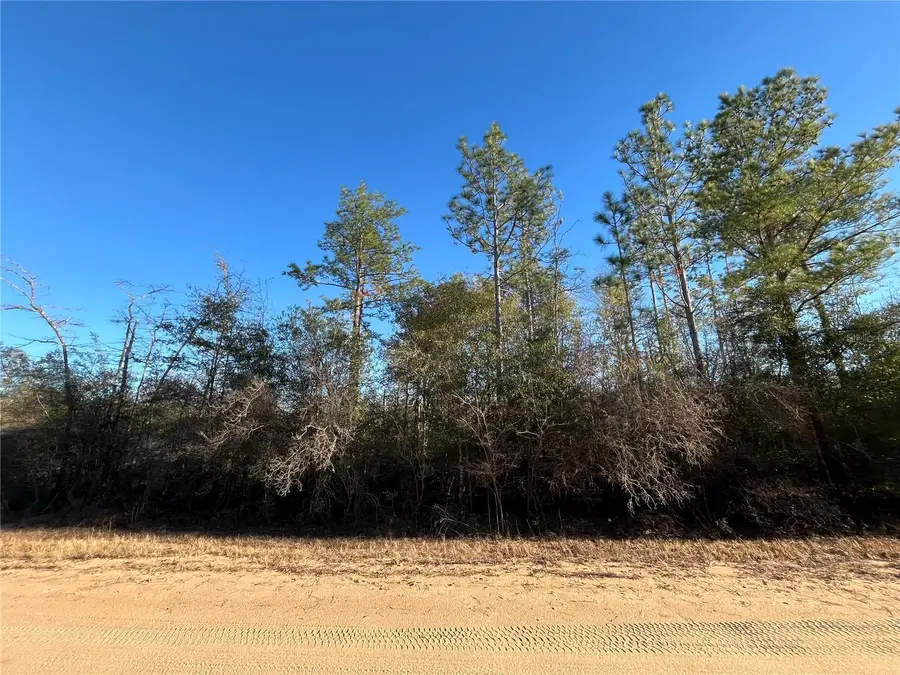 Goreville Avenue, Alford, FL 32420 - Image #3