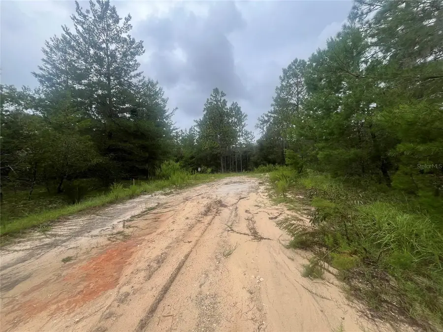 206 Wales Street, Interlachen, FL 32148 - #2