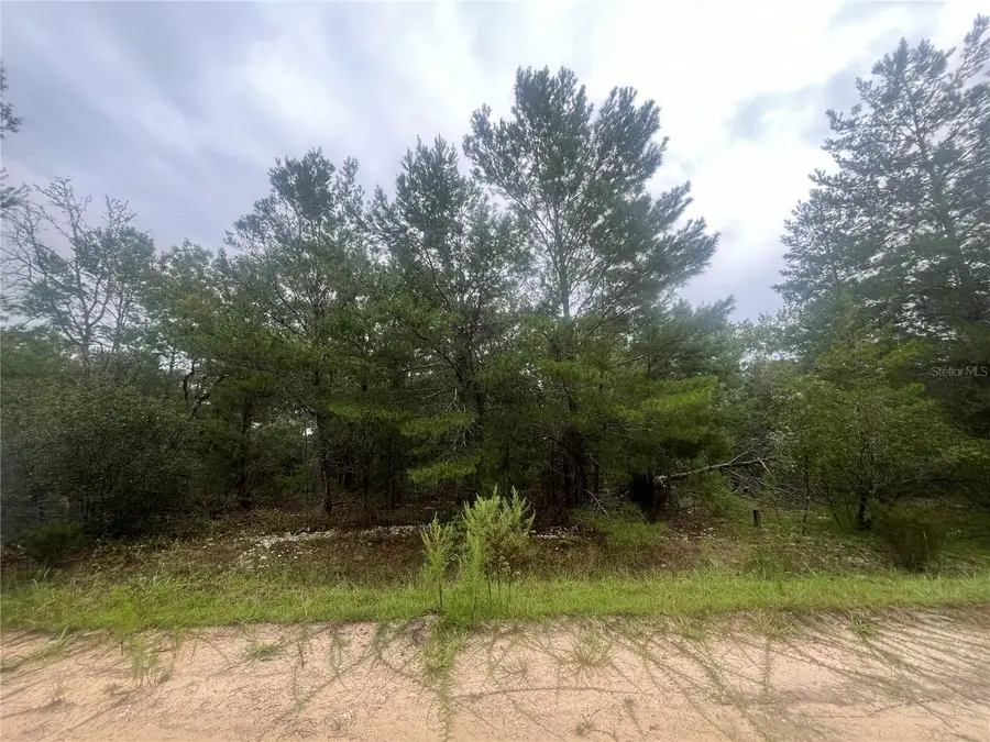 206 Wales Street, Interlachen, FL 32148 - #3