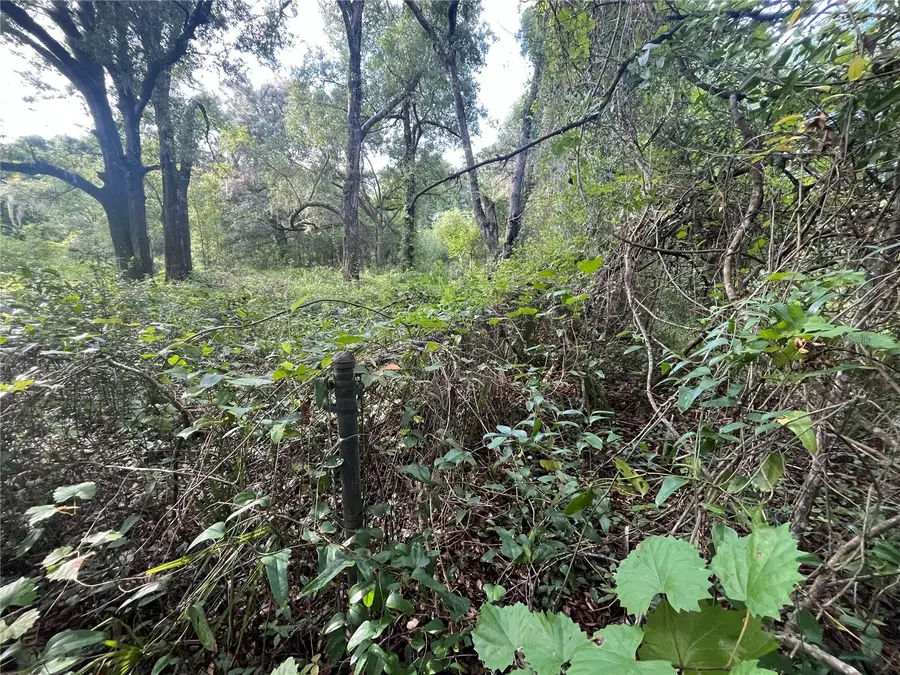 305 Milton Avenue, Interlachen, FL 32148 - #3